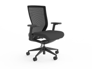 Balance Project Chair with Arms