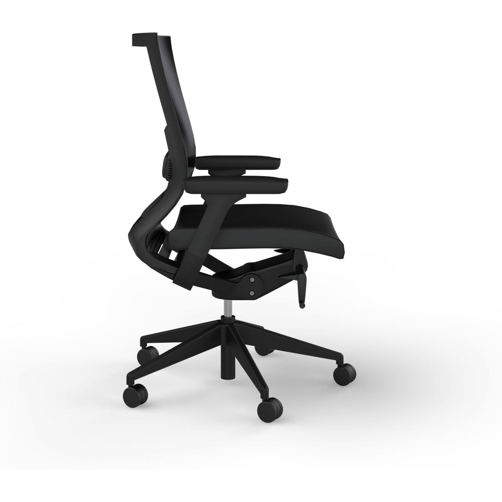 Balance Project with Arms & Lumbar