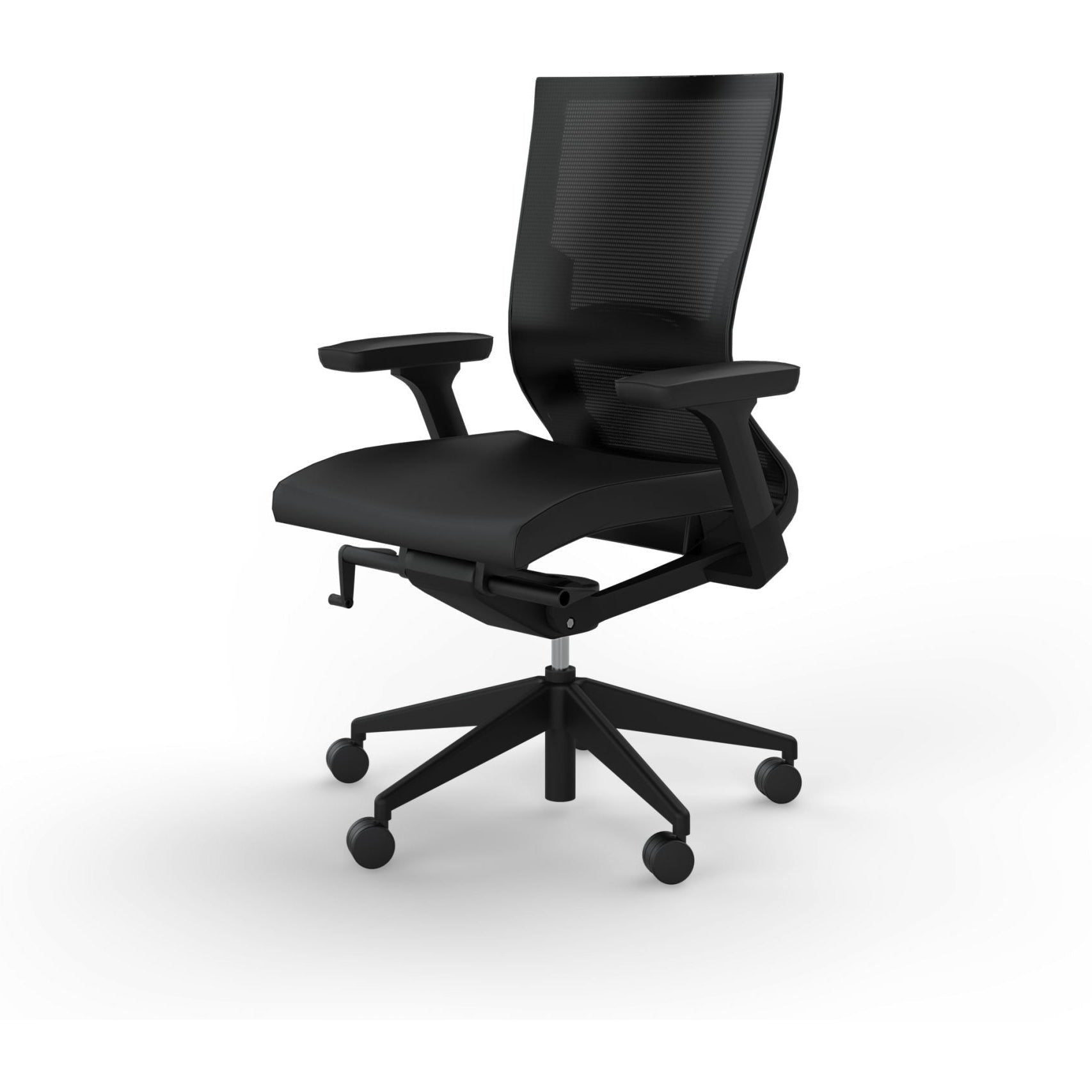 Balance Project with Arms & Lumbar