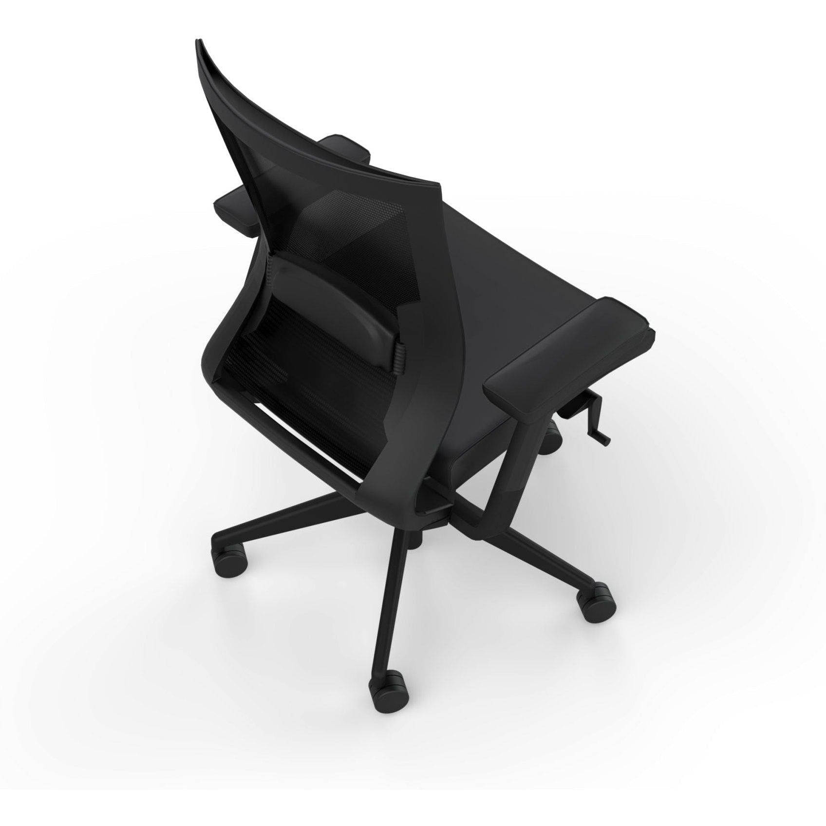 Balance Project with Arms & Lumbar