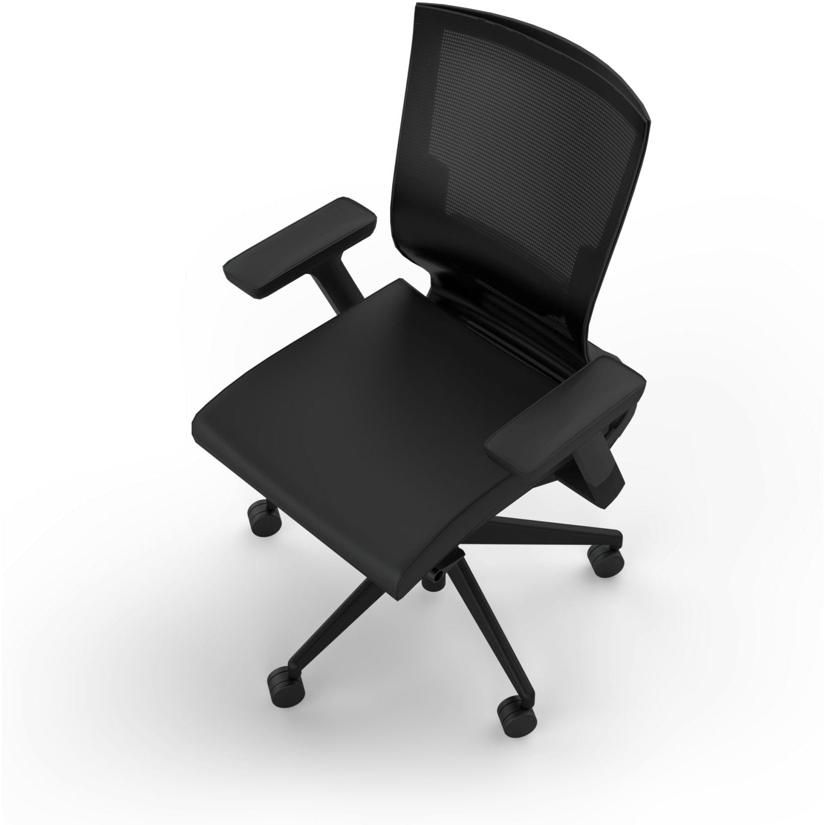 Balance Project with Arms & Lumbar