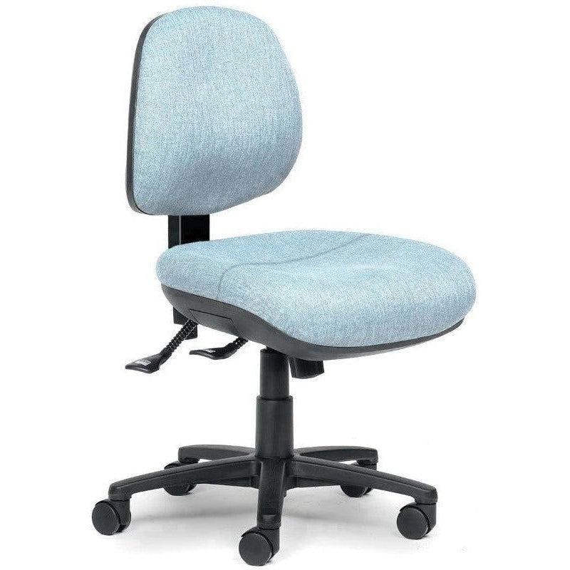 Delta Plus Chair (with Comfort Duo Seat Cushion)
