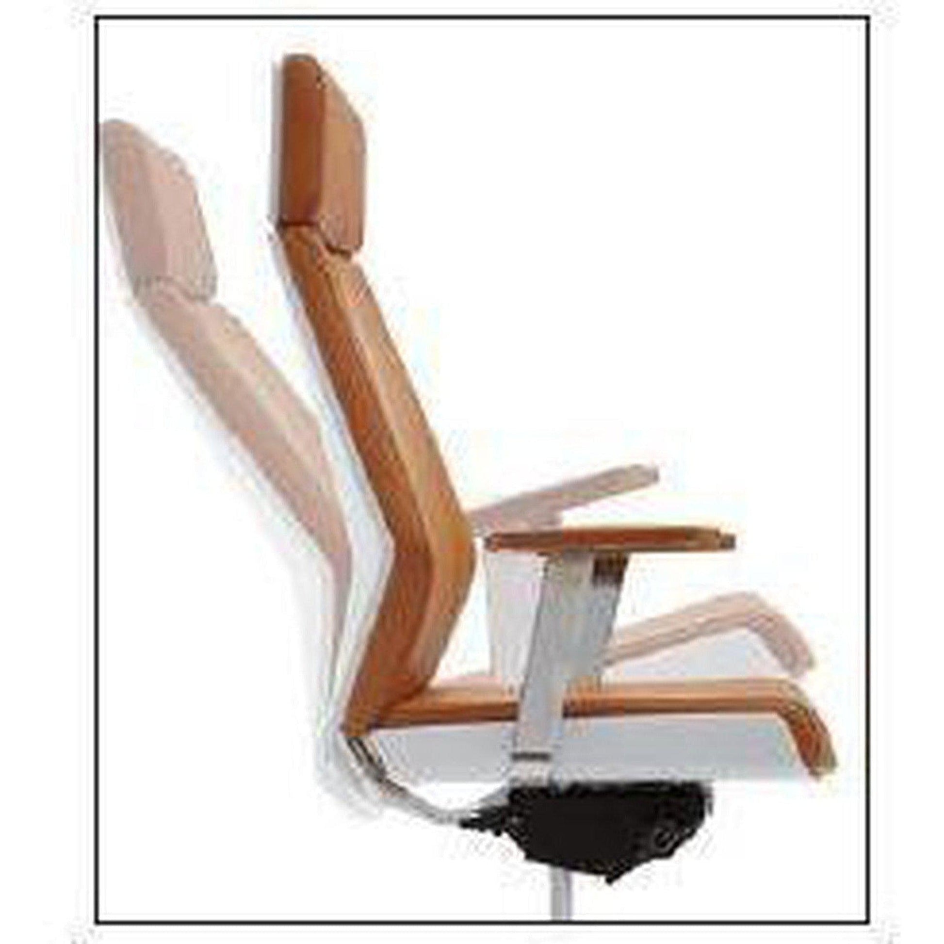 Arizona Premium Genuine Leather Executive Chair