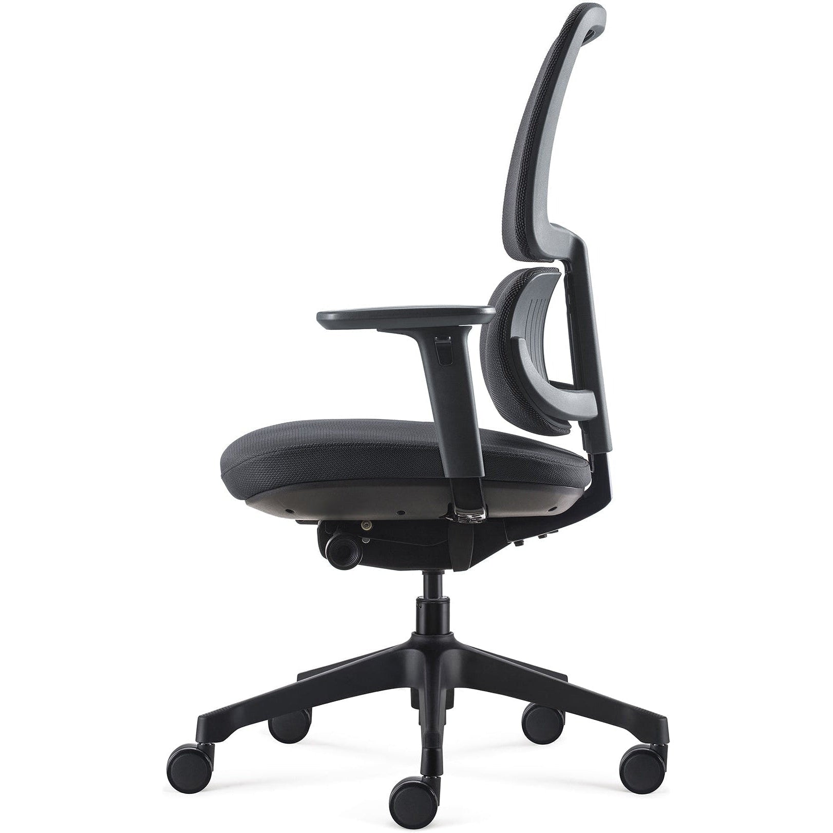 Orca Chair
