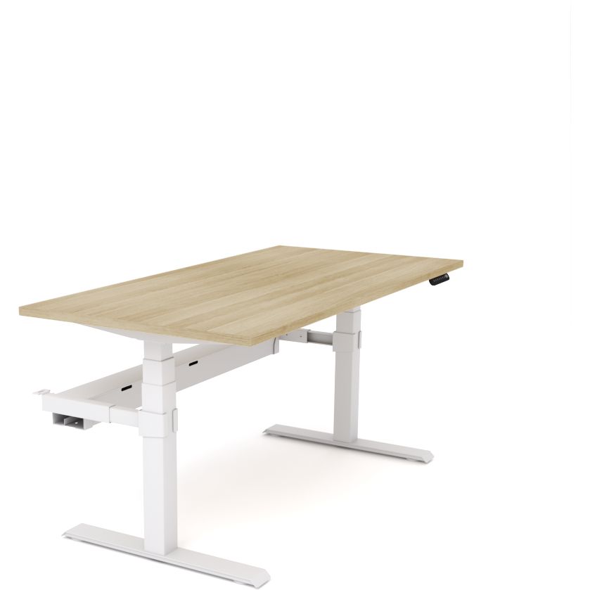 Dynamo Plus - Electric Height Adjustable Single Workstation